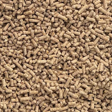 palmerfeed-3429803