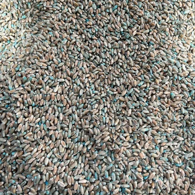 palmerfeed-3430120
