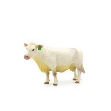 palmerfeed-3430533