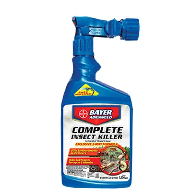 palmerfeed-3430565