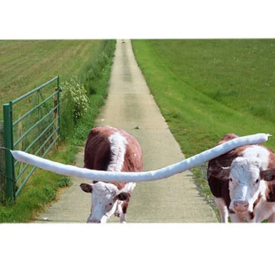 palmerfeed-3430949