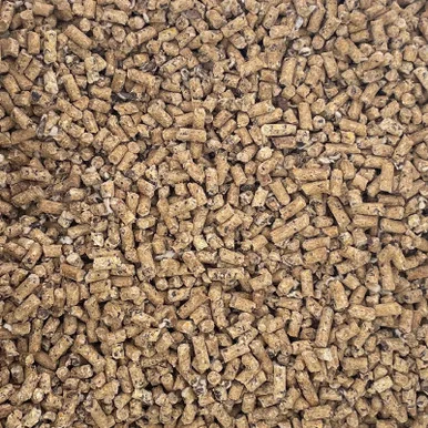 palmerfeed-3431079