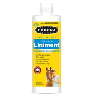 palmerfeed-3431479