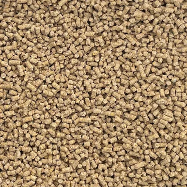 palmerfeed-3431552