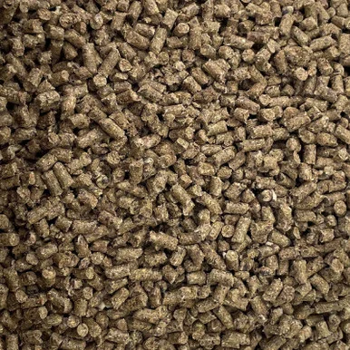 palmerfeed-3431755