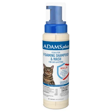 palmerfeed-3431927