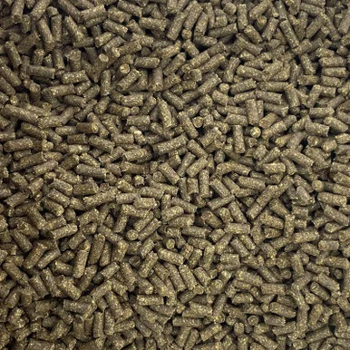 palmerfeed-3432229