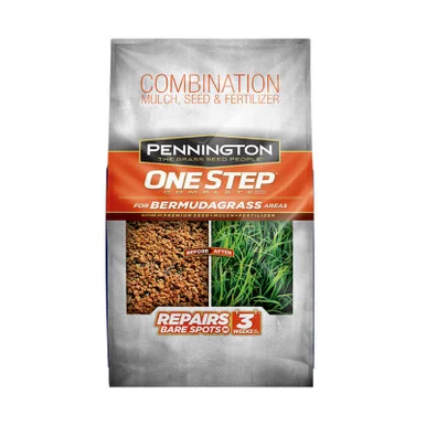 palmerfeed-3432531