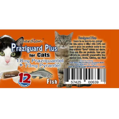 palmerfeed-3432664