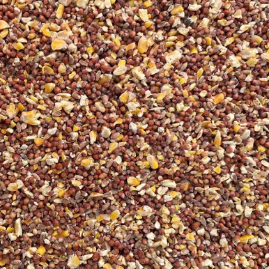 palmerfeed-3433682