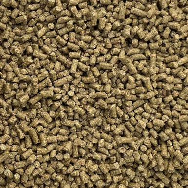 palmerfeed-3433832