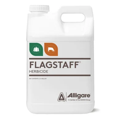 palmerfeed-3434071