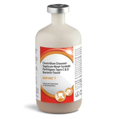 palmerfeed-3435065