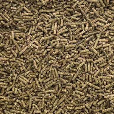 palmerfeed-3435764