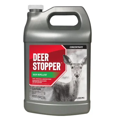 palmerfeed-3435969