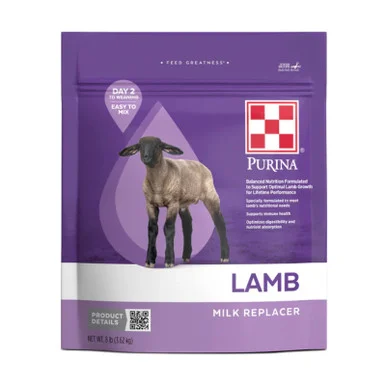 palmerfeed-3436071
