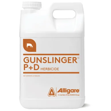 palmerfeed-3436946