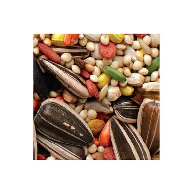 palmerfeed-3437018