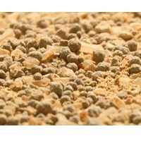 palmerfeed-3437268