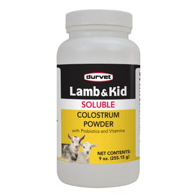 palmerfeed-3437732