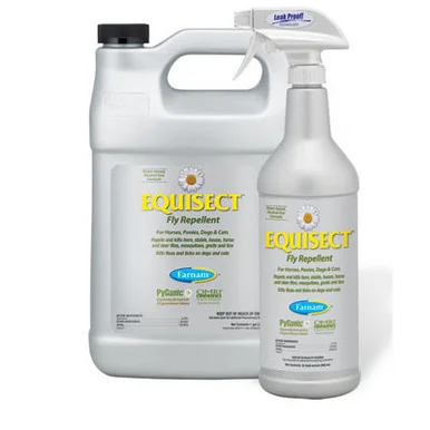 palmerfeed-3438035