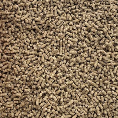 palmerfeed-3438166