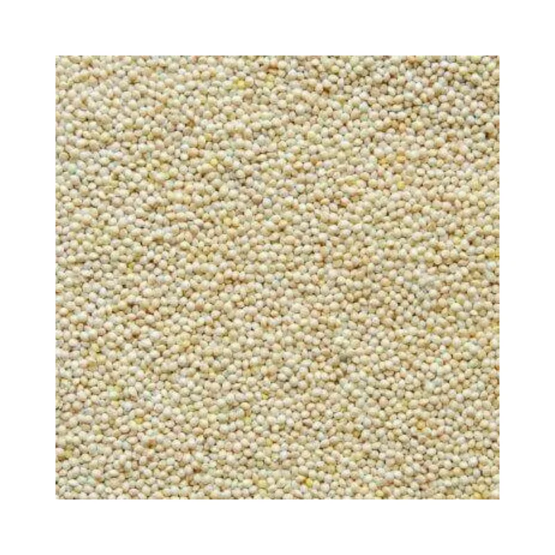 pittsborofeed3382215
