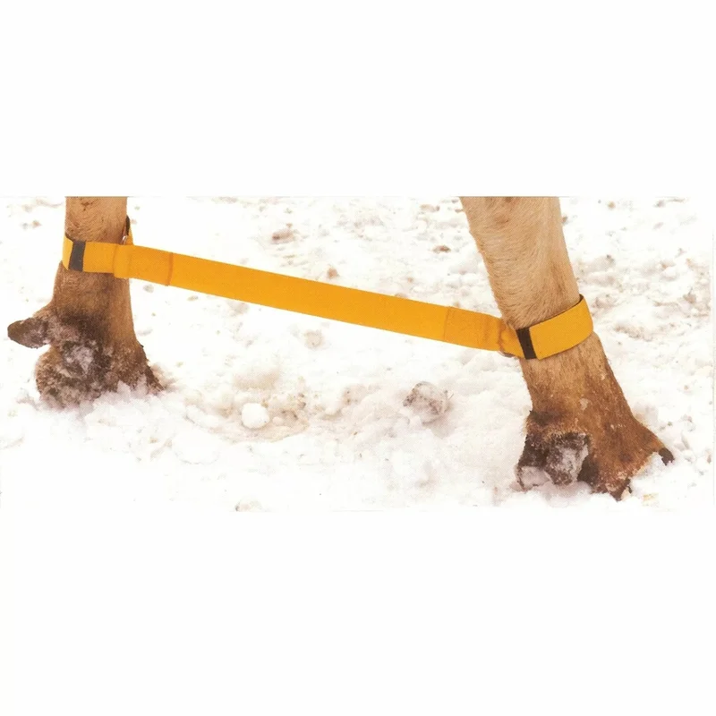 qcsupply3400694