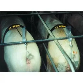 qcsupply3401089