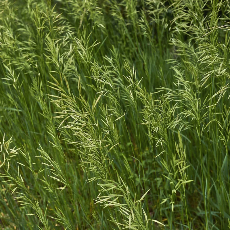 standishmilling3362727