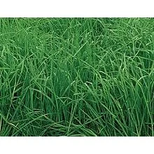 standishmilling3363354