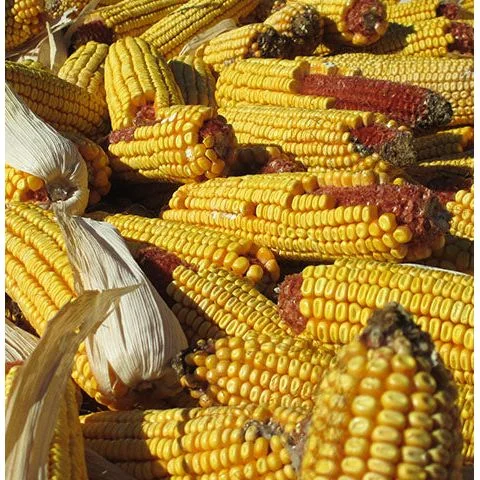 standishmilling3368856
