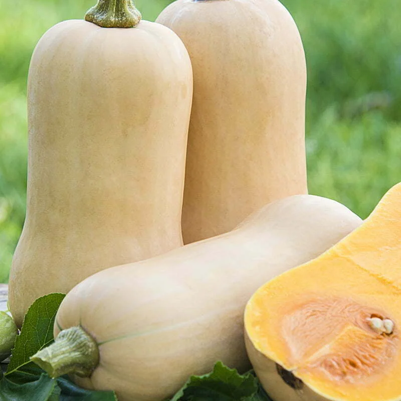 standishmilling3371408