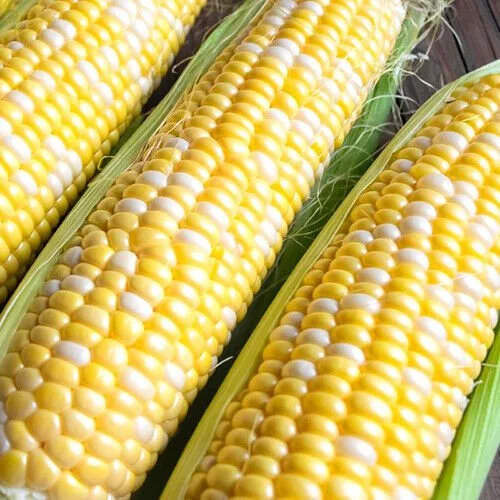 standishmilling3390276
