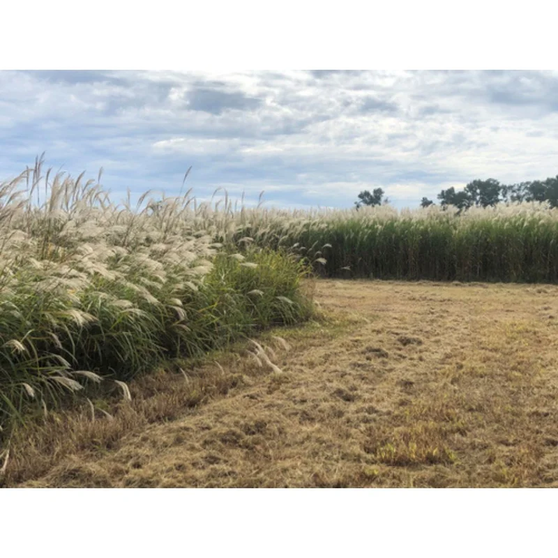 standishmilling3395109