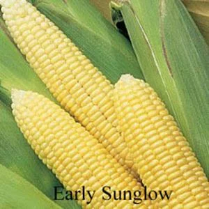 standishmilling3398743