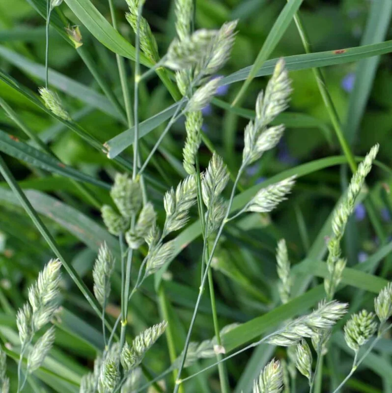 standishmilling3399717