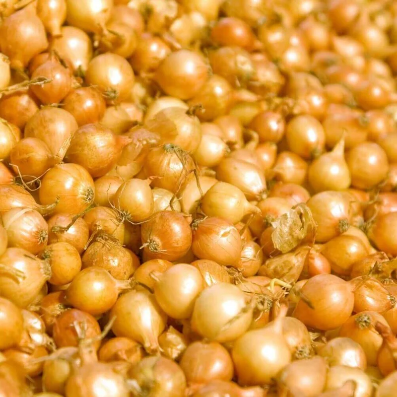 standishmilling3401223