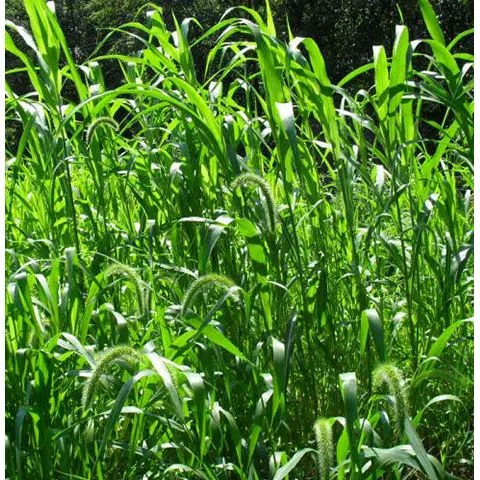 standishmilling3414684