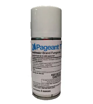 steveregan3396129