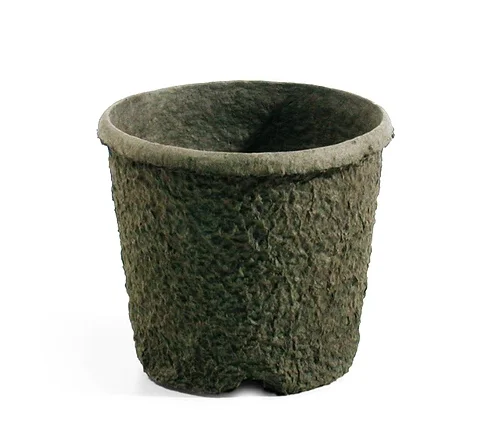 steveregan3398272