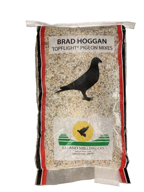 steveregan3408001