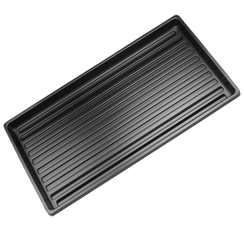 steveregan3408028