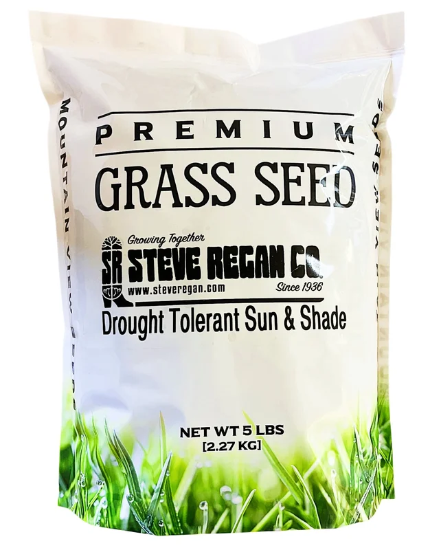 steveregan3408135