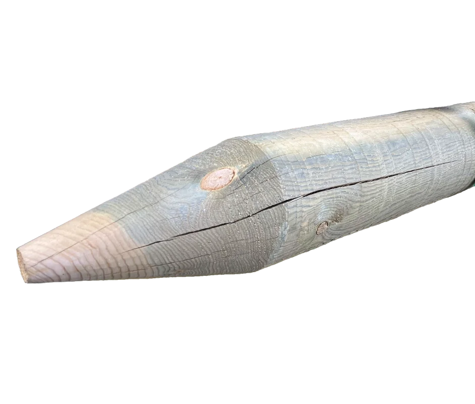 steveregan3408737