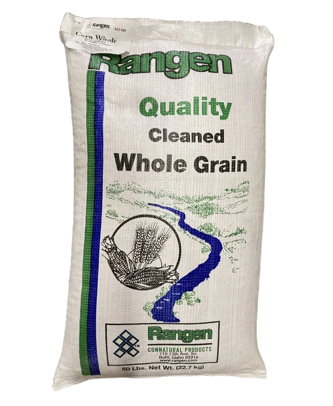 steveregan3409611