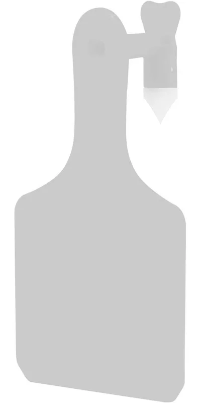 steveregan3411442