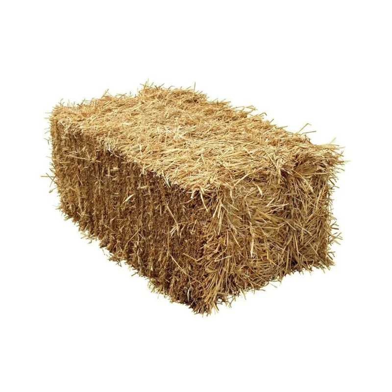 thefeedstoretn3371800